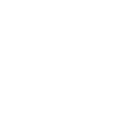 录制